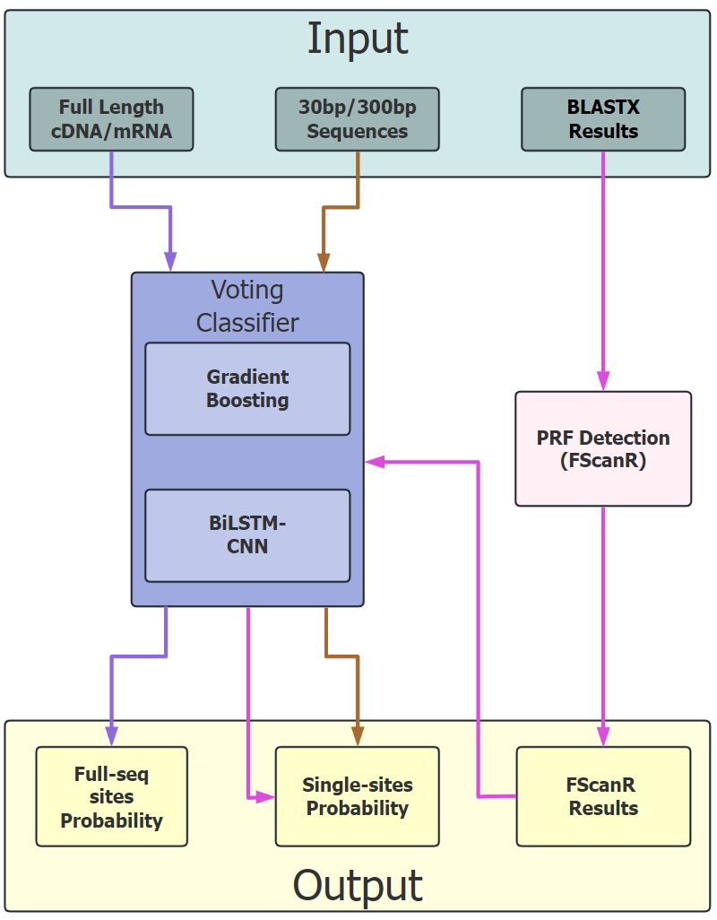 FScanpy structure
